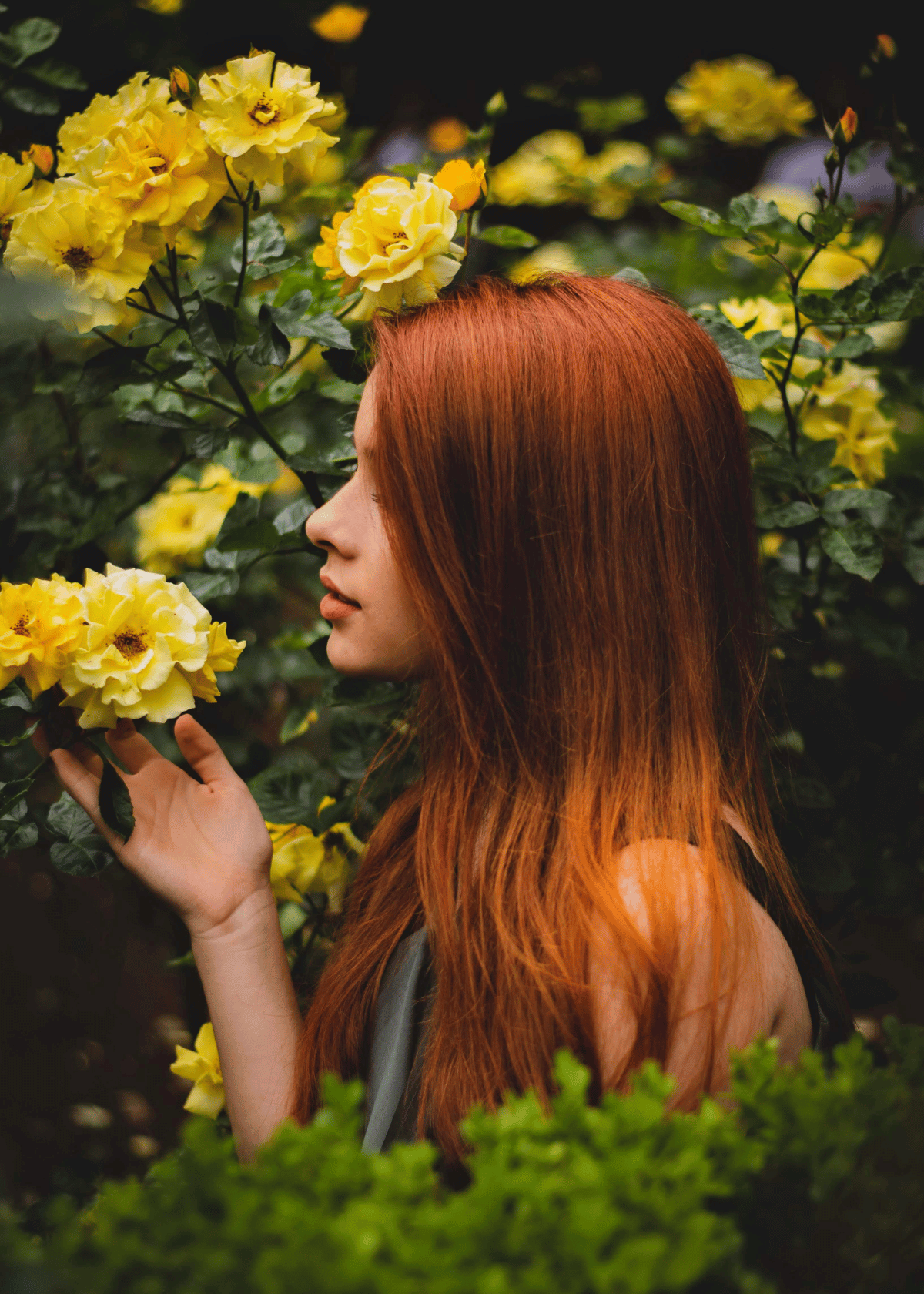 Best Hair Growth Vitamins: Your Ultimate Guide